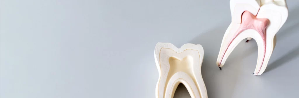 Thế giới nha khoa AB