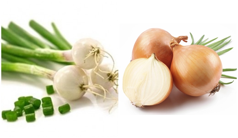 Thế giới nha khoa AB