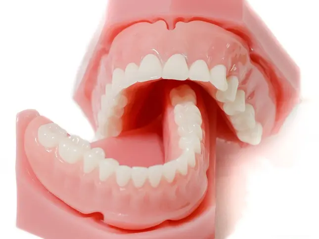 Rang Gia Thao Lap Bang Nen Nhua